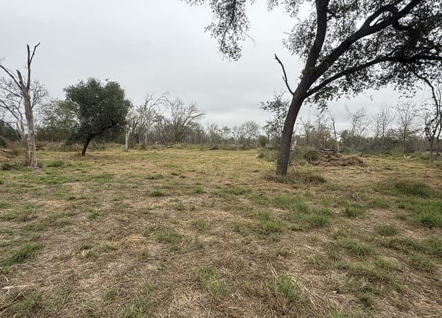 0  Gidley, Atascosa, TX 78002 — photo 19