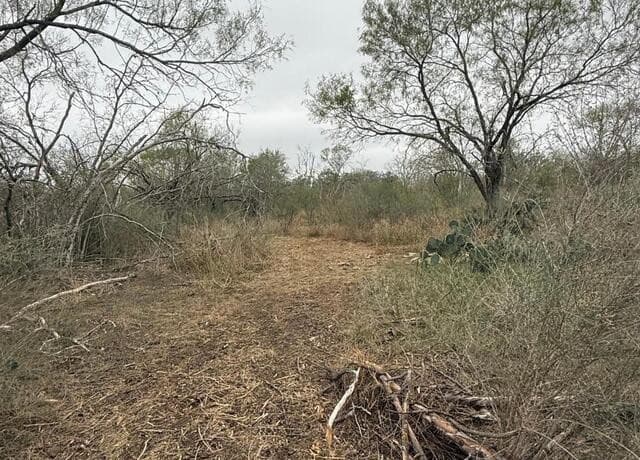 0  Gidley, Atascosa, TX 78002 — photo 20