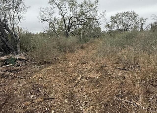 0  Gidley, Atascosa, TX 78002 — photo 21