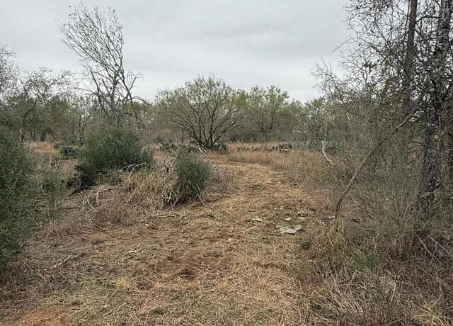 0  Gidley, Atascosa, TX 78002 — photo 22