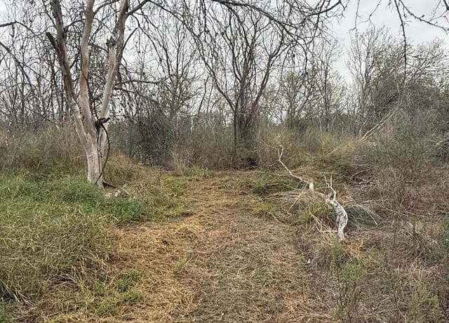 0  Gidley, Atascosa, TX 78002 — photo 23