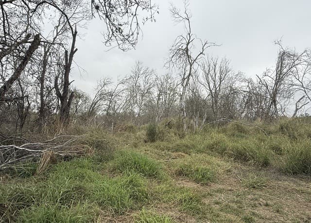 0  Gidley, Atascosa, TX 78002 — photo 24