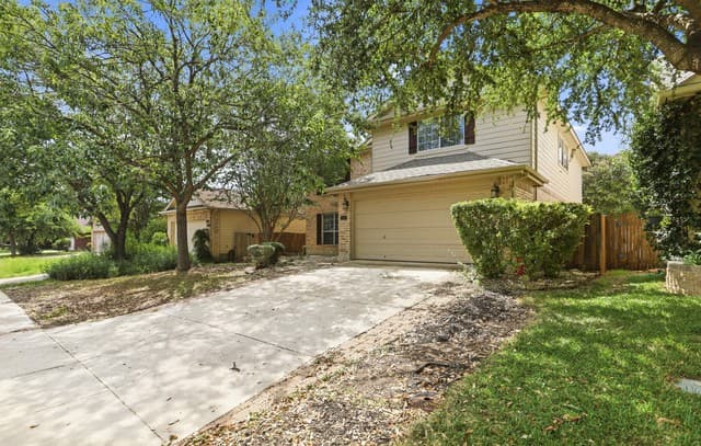 11614  Huisache Daisy