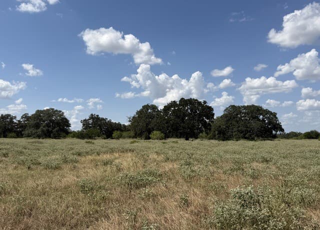 3432  Fm 3432, Adkins, TX 78101 — photo 10