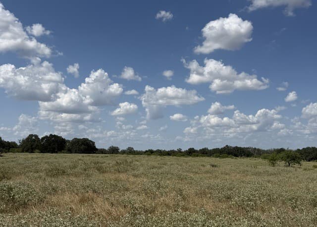 3432  Fm 3432, Adkins, TX 78101 — photo 11