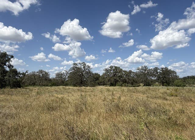 3432  Fm 3432, Adkins, TX 78101 — photo 12