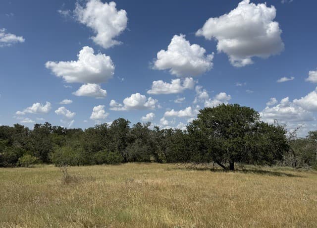 3432  Fm 3432, Adkins, TX 78101 — photo 13