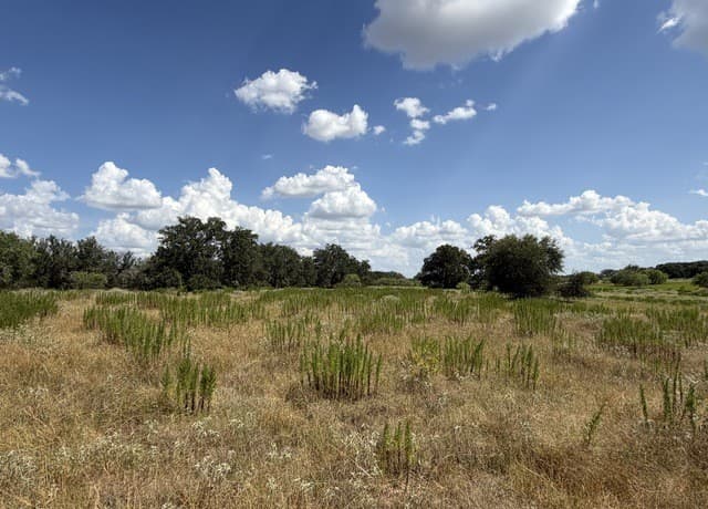 3432  Fm 3432, Adkins, TX 78101 — photo 15