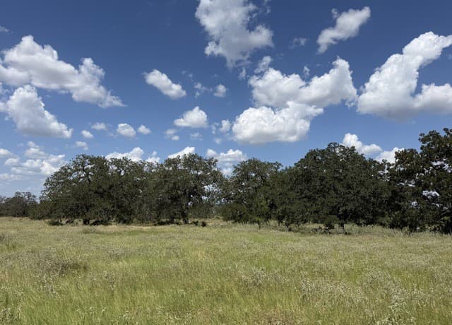 3432  Fm 3432, Adkins, TX 78101 — photo 2