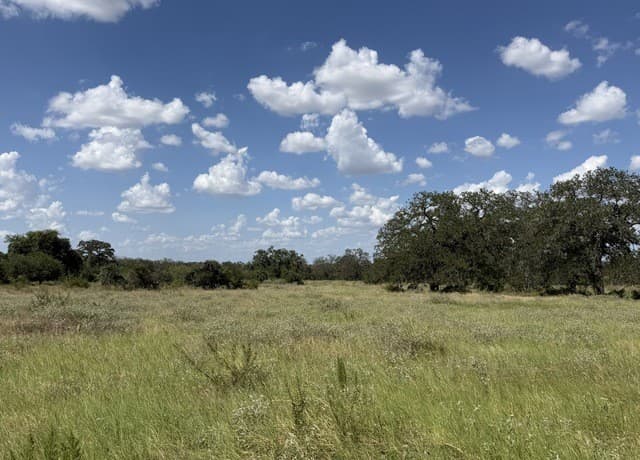 3432  Fm 3432, Adkins, TX 78101 — photo 5