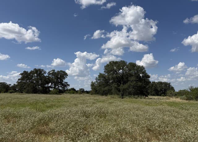 3432  Fm 3432, Adkins, TX 78101 — photo 7