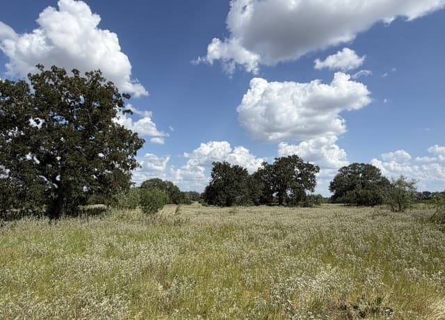 3432  Fm 3432, Adkins, TX 78101 — photo 8