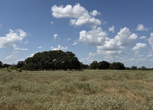 3432  Fm 3432, Adkins, TX 78101 — photo 9