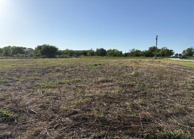 529  Holman Rd, Marion, TX 78124 — photo 4