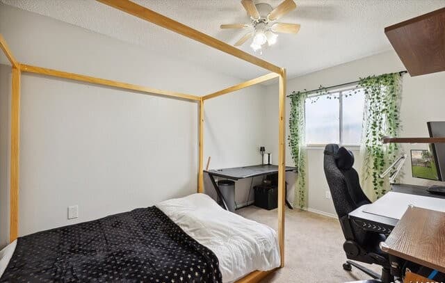 312  Lori Lynn Dr, Schertz, TX 78154 — photo 19