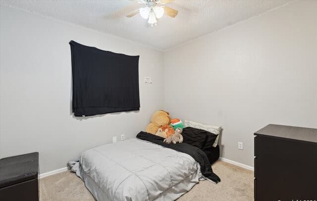 312  Lori Lynn Dr, Schertz, TX 78154 — photo 23