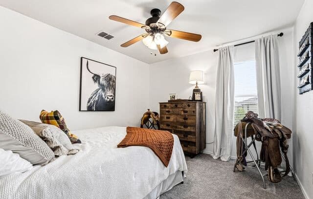 10807  Arabian Gate, San Antonio, TX 78254 — photo 20