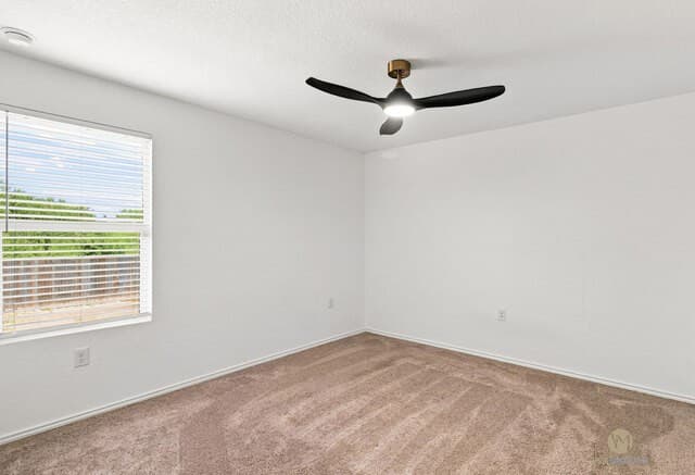 13415  Turnesa Ter, San Antonio, TX 78221 — photo 13