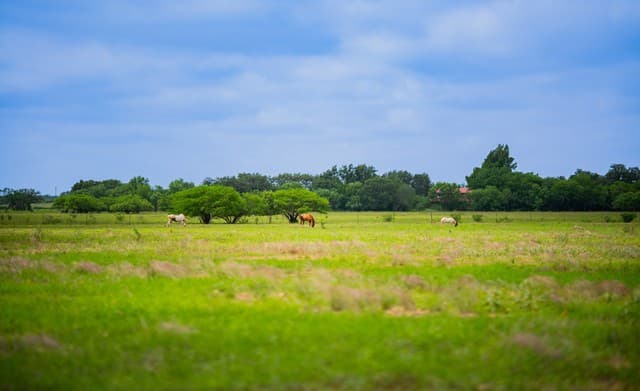 366  County Road 2543, Moore, TX 78057 — photo 11