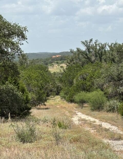 LOT 37 Pr 2532