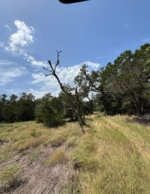 LOT 37  Pr 2532, Mico, TX 78056 — photo 10