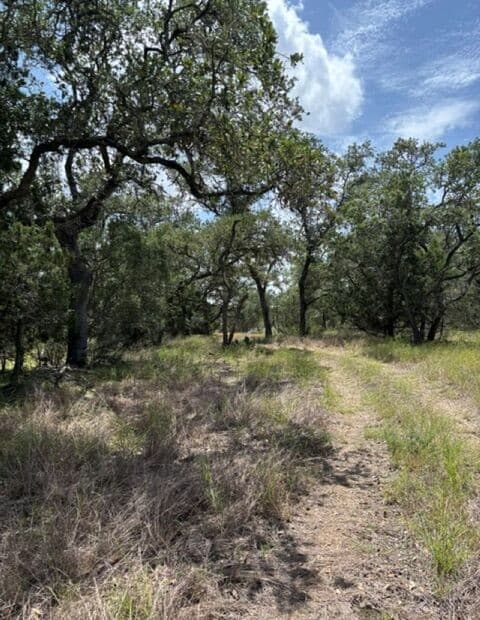 LOT 37  Pr 2532, Mico, TX 78056 — photo 12