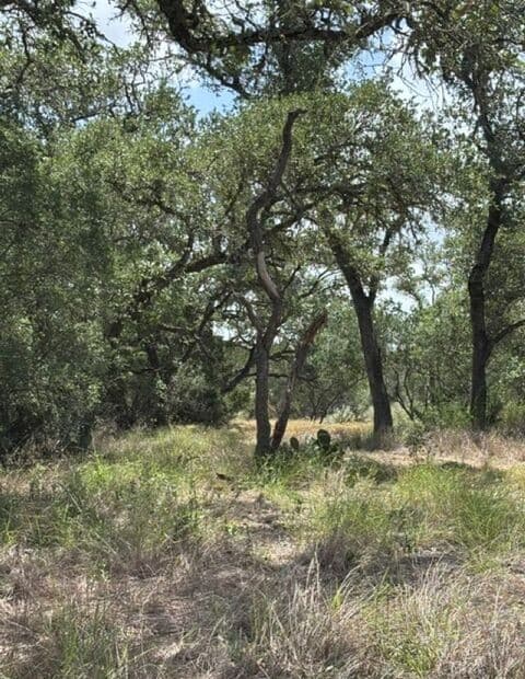LOT 37  Pr 2532, Mico, TX 78056 — photo 13