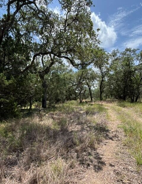 LOT 37  Pr 2532, Mico, TX 78056 — photo 14