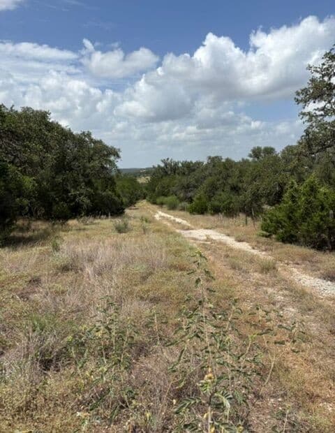LOT 37  Pr 2532, Mico, TX 78056 — photo 15