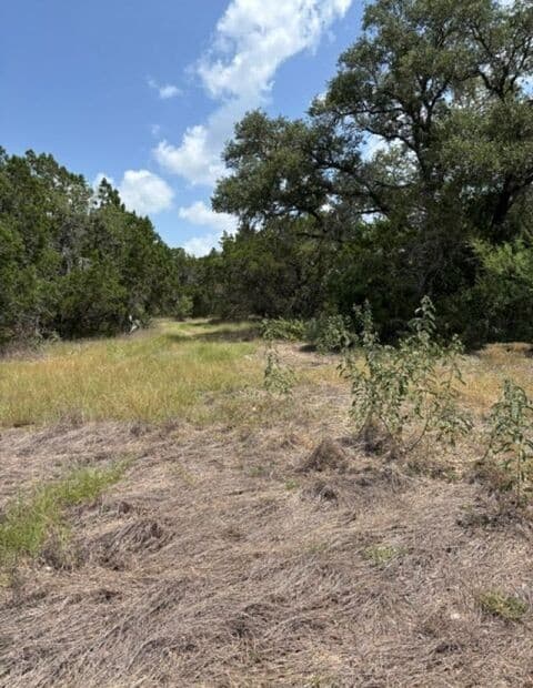 LOT 37  Pr 2532, Mico, TX 78056 — photo 17