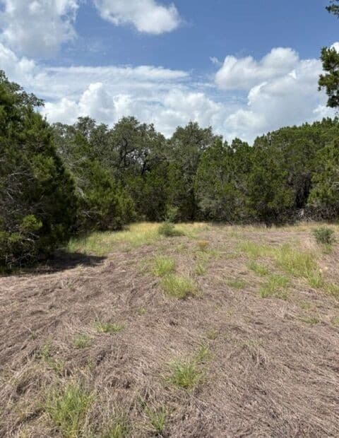 LOT 37  Pr 2532, Mico, TX 78056 — photo 18