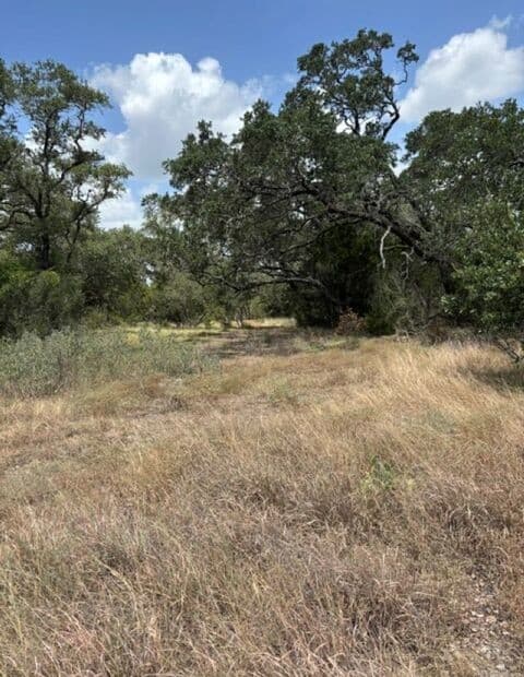LOT 37  Pr 2532, Mico, TX 78056 — photo 21