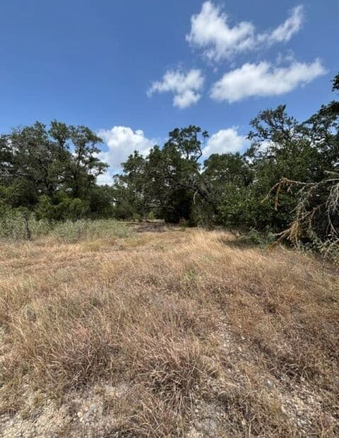LOT 37  Pr 2532, Mico, TX 78056 — photo 22