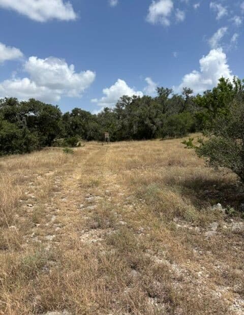 LOT 37  Pr 2532, Mico, TX 78056 — photo 24