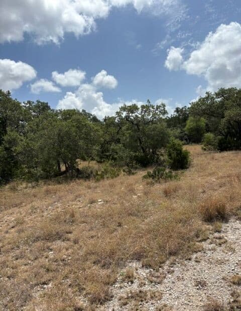 LOT 37  Pr 2532, Mico, TX 78056 — photo 25