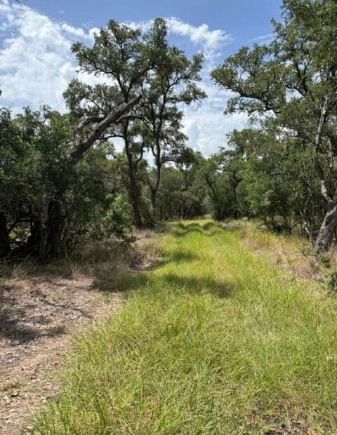 LOT 37  Pr 2532, Mico, TX 78056 — photo 3