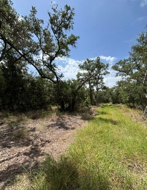 LOT 37  Pr 2532, Mico, TX 78056 — photo 4