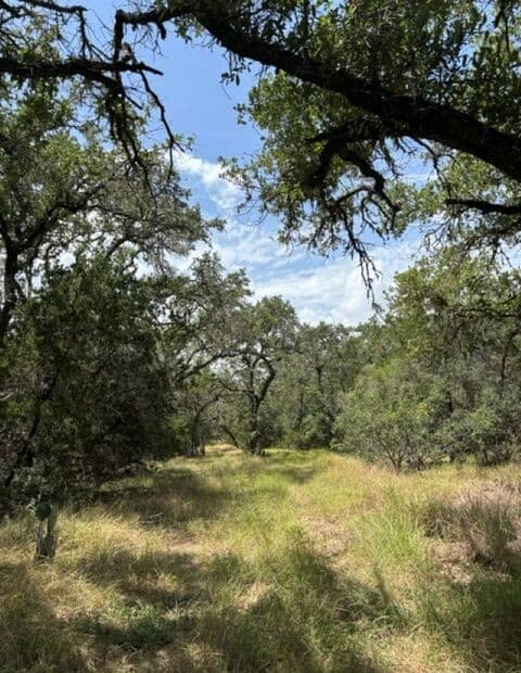 LOT 37  Pr 2532, Mico, TX 78056 — photo 5