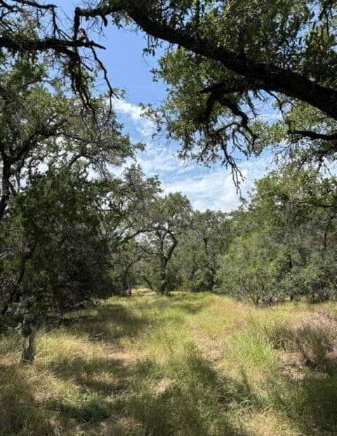 LOT 37  Pr 2532, Mico, TX 78056 — photo 6