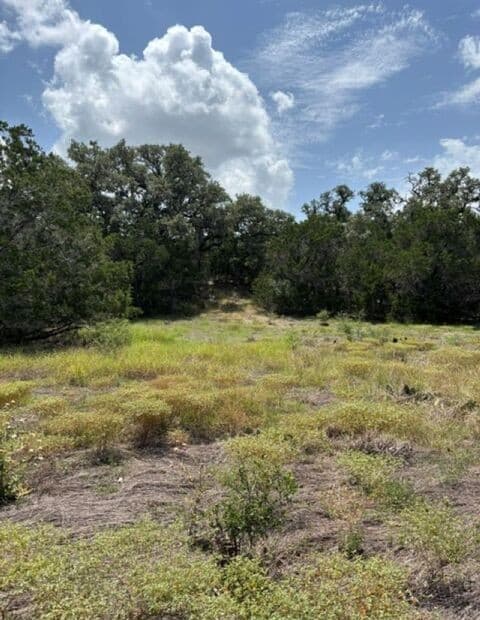 LOT 37  Pr 2532, Mico, TX 78056 — photo 8