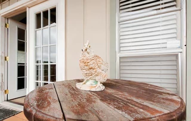 1435  Trail Pass, Canyon Lake, TX 78133 — photo 11