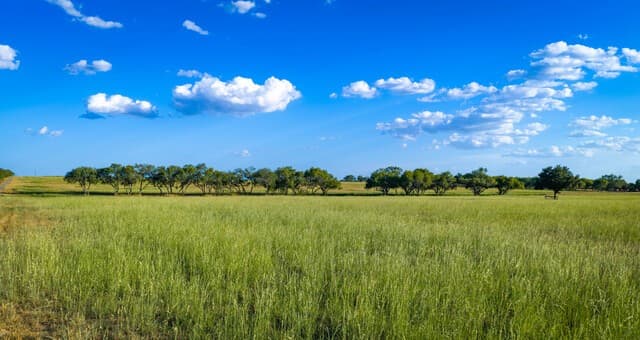 106  County Road 253, Poth, TX 78147 — photo 5