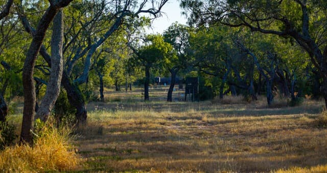 106  County Road 253, Poth, TX 78147 — photo 9