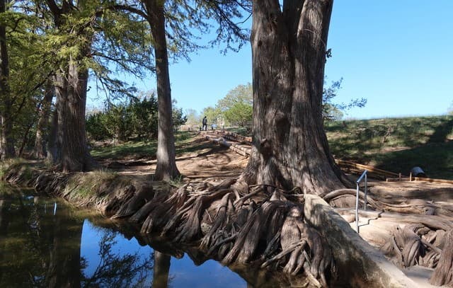 782  Mountain View Dr, Bandera, TX 78003 — photo 10