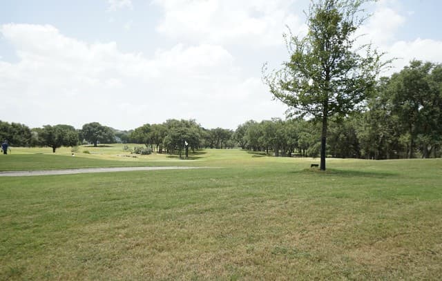 29114  Ledge Dr, Boerne, TX 78015 — photo 5
