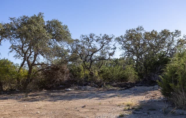 BLOCK 1, LOT 3  Easy Money, Boerne, TX 78006 — photo 3