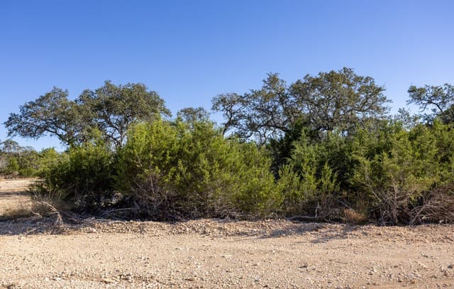 BLOCK 1, LOT 3  Easy Money, Boerne, TX 78006 — photo 4