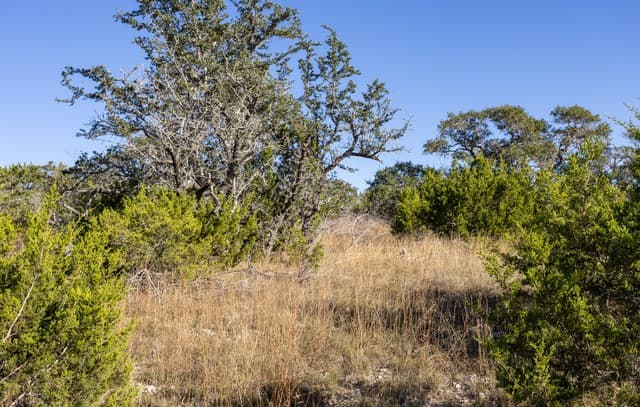 BLOCK 1, LOT 3  Easy Money, Boerne, TX 78006 — photo 6