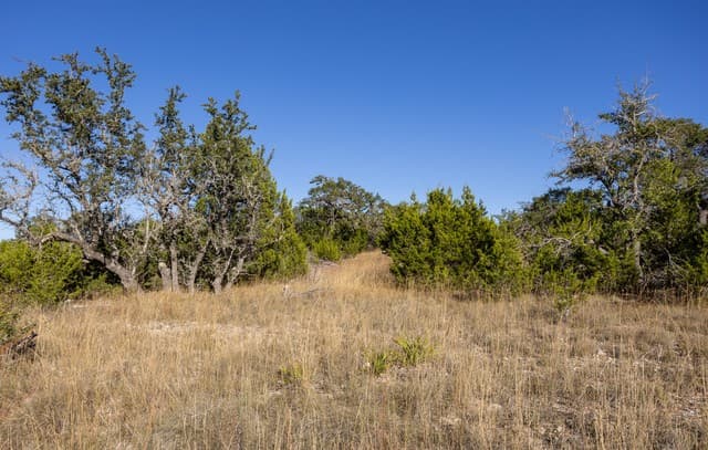 BLOCK 1, LOT 3  Easy Money, Boerne, TX 78006 — photo 7