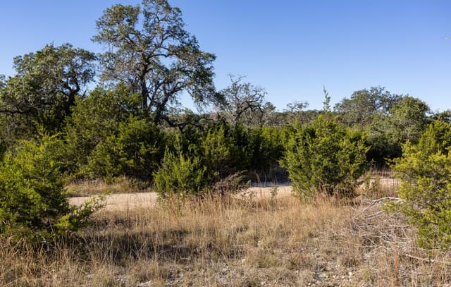 BLOCK 1, LOT 3  Easy Money, Boerne, TX 78006 — photo 8